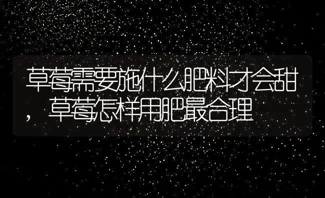 草莓需要施什么肥料才会甜,草莓怎样用肥最合理 | 养殖科普
