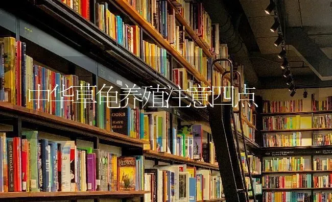 中华草龟养殖注意四点 | 养殖技术大全