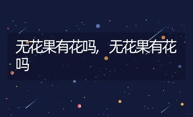 无花果有花吗,无花果有花吗 | 养殖科普