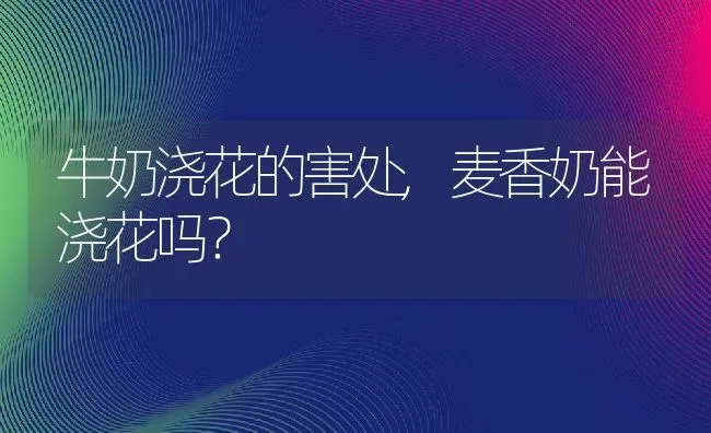 牛奶浇花的害处,麦香奶能浇花吗？ | 养殖科普