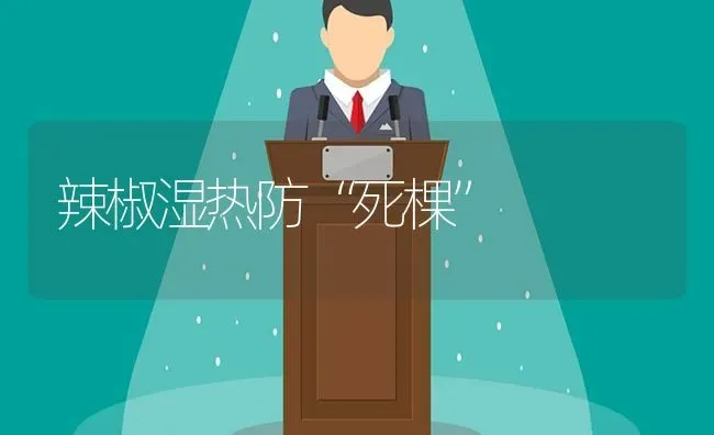 辣椒湿热防“死棵” | 养殖技术大全