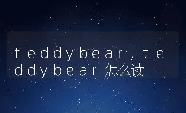 teddybear,teddybear怎么读 | 养殖科普