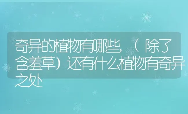 奇异的植物有哪些,(除了含羞草）还有什么植物有奇异之处 | 养殖学堂
