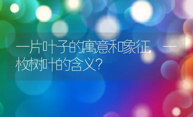 双线竹芋的养殖方法,双线竹芋怎么养？ | 养殖科普