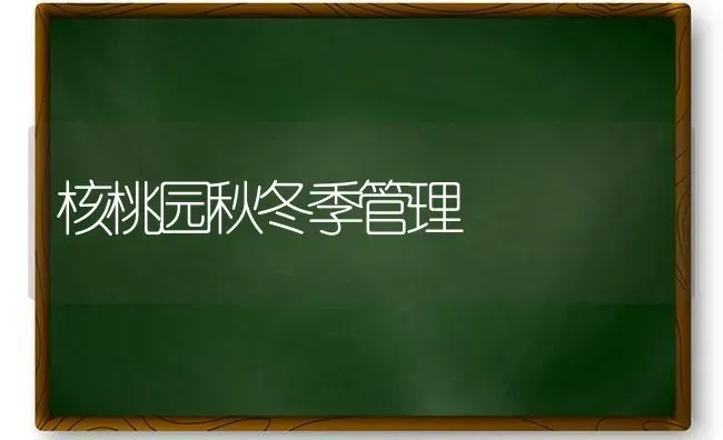 核桃园秋冬季管理 | 养殖知识