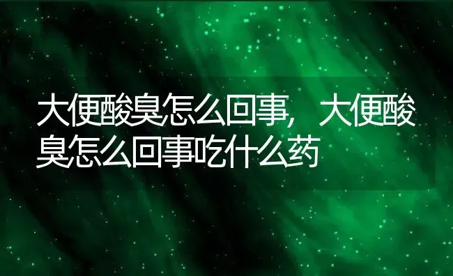 大便酸臭怎么回事,大便酸臭怎么回事吃什么药 | 养殖资料