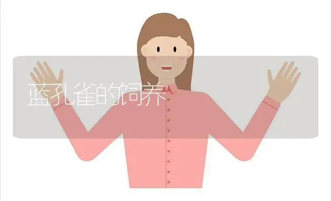 蓝孔雀的饲养 | 养殖知识