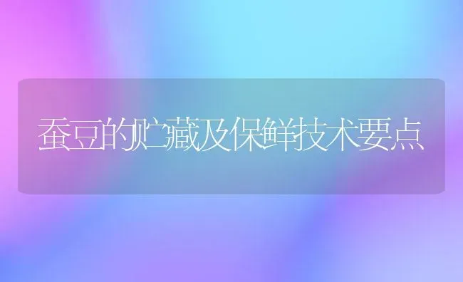 蚕豆的贮藏及保鲜技术要点 | 养殖知识