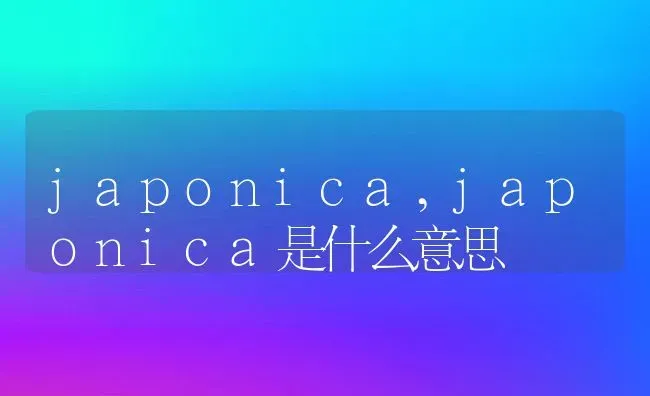 japonica,japonica是什么意思 | 养殖资料