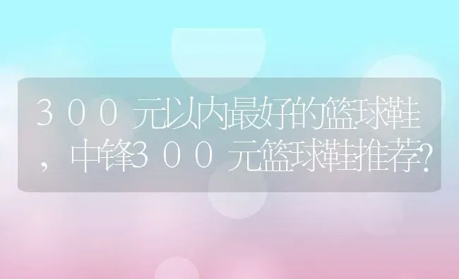 300元以内最好的篮球鞋,中锋300元篮球鞋推荐？ | 养殖科普