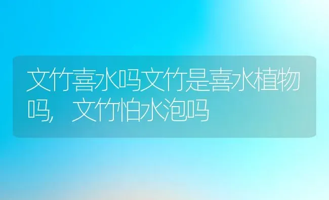 文竹喜水吗文竹是喜水植物吗,文竹怕水泡吗 | 养殖学堂