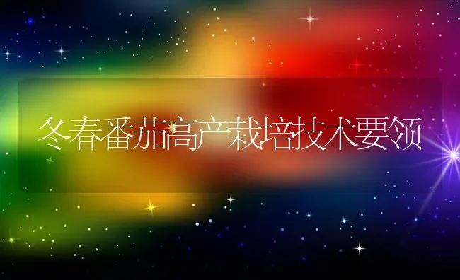 冬春番茄高产栽培技术要领 | 养殖技术大全