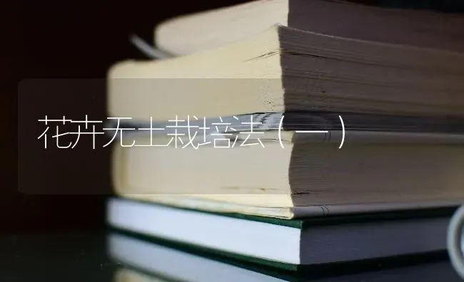花卉无土栽培法(一) | 养殖技术大全