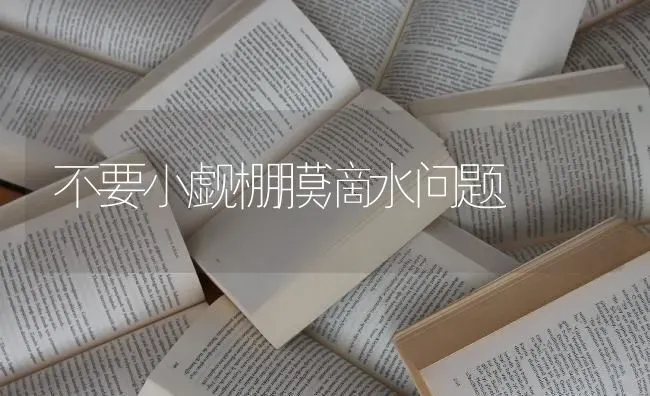 不要小觑棚膜滴水问题 | 养殖知识