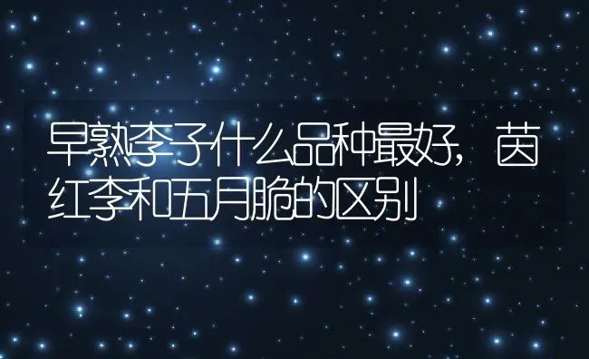 早熟李子什么品种最好,茵红李和五月脆的区别 | 养殖学堂