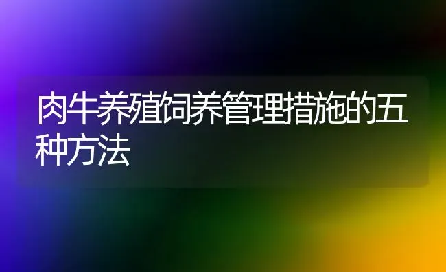 肉牛养殖饲养管理措施的五种方法 | 养殖知识