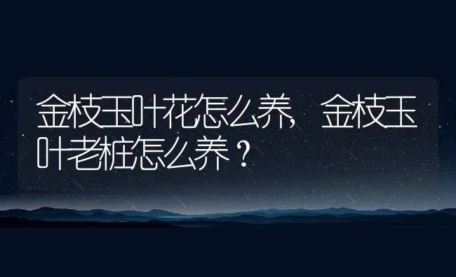 金枝玉叶花怎么养,金枝玉叶老桩怎么养？ | 养殖科普