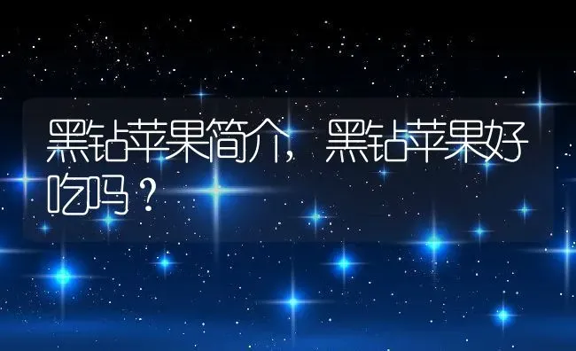 黑钻苹果简介,黑钻苹果好吃吗？ | 养殖科普