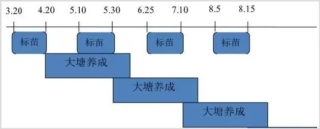 小棚标粗+露天塘养对虾，一年四造，亩盈利轻松超万元 | 实用知识