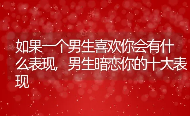 如果一个男生喜欢你会有什么表现,男生暗恋你的十大表现 | 养殖科普