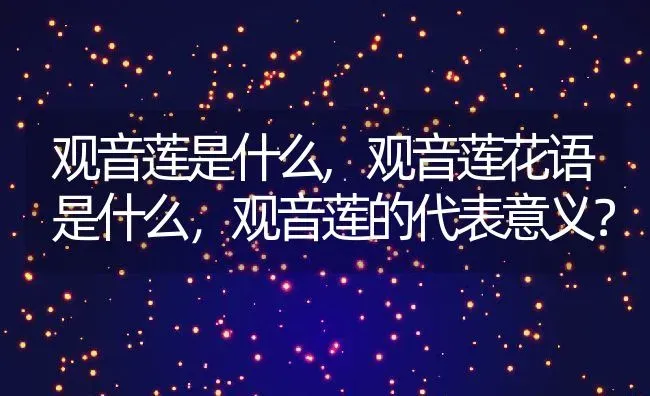 观音莲是什么,观音莲花语是什么，观音莲的代表意义？ | 养殖科普