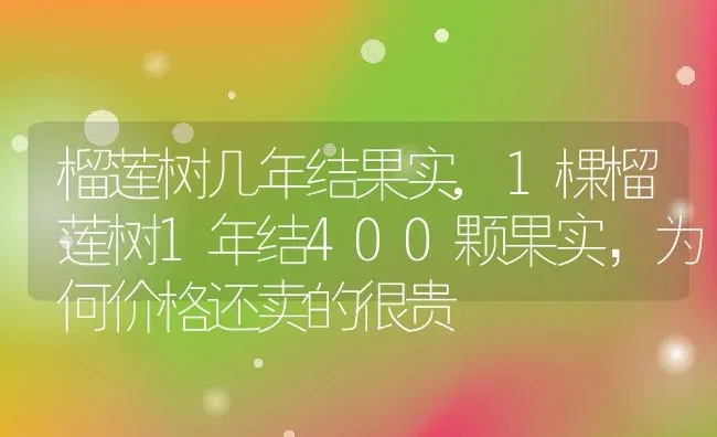 榴莲树几年结果实,1棵榴莲树1年结400颗果实，为何价格还卖的很贵 | 养殖学堂