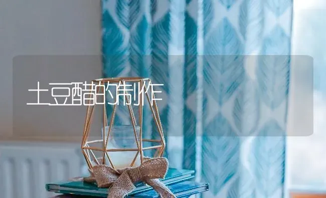 土豆醋的制作 | 养殖知识