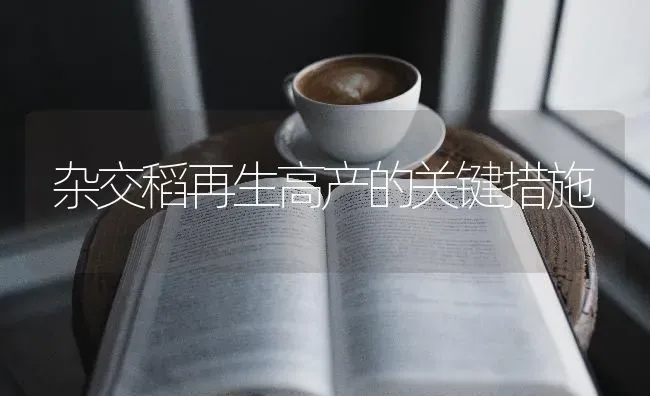 杂交稻再生高产的关键措施 | 养殖技术大全
