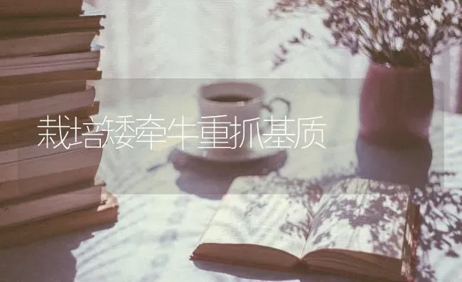 栽培矮牵牛重抓基质 | 养殖知识