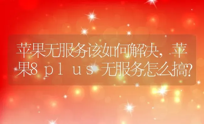 苹果无服务该如何解决,苹果8plus无服务怎么搞？ | 养殖科普