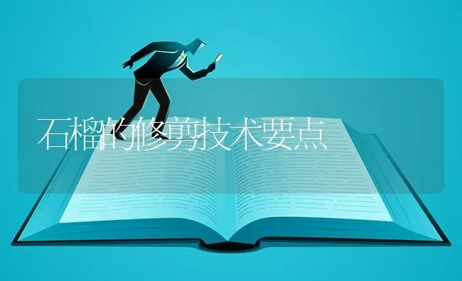 石榴的修剪技术要点 | 养殖技术大全