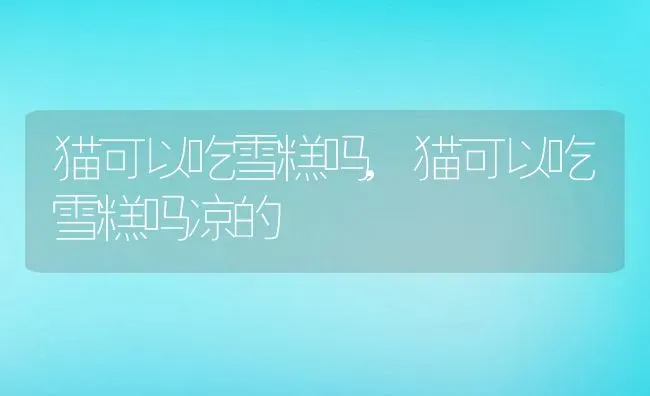猫可以吃雪糕吗,猫可以吃雪糕吗凉的 | 养殖资料