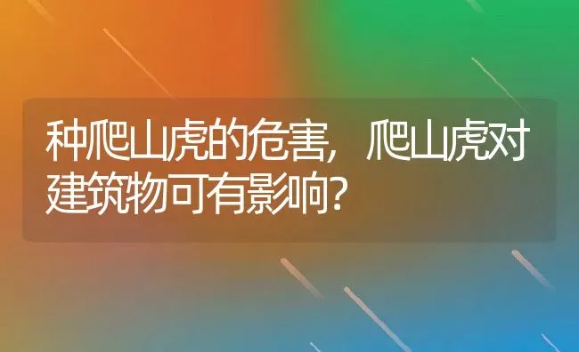 种爬山虎的危害,爬山虎对建筑物可有影响？ | 养殖科普