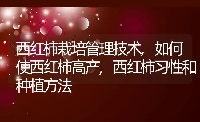 西红柿栽培管理技术,如何使西红柿高产,西红柿习性和种植方法 | 养殖学堂