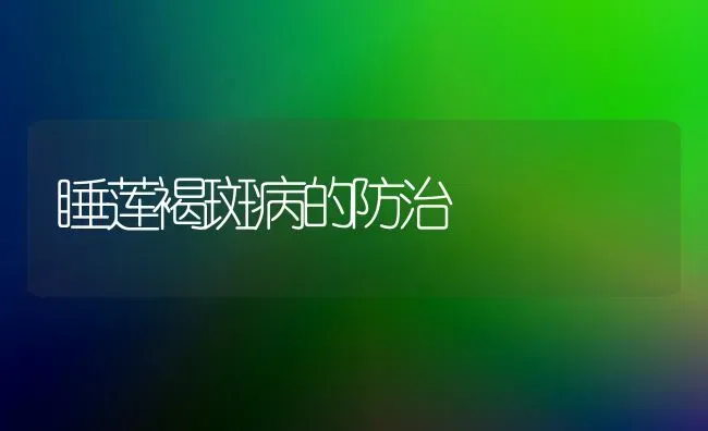 睡莲褐斑病的防治 | 养殖知识