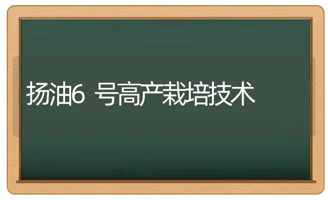 扬油6号高产栽培技术 | 养殖技术大全