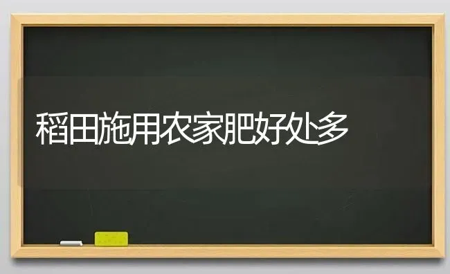 稻田施用农家肥好处多 | 养殖知识