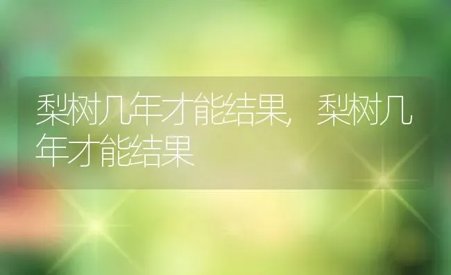 梨树几年才能结果,梨树几年才能结果 | 养殖科普