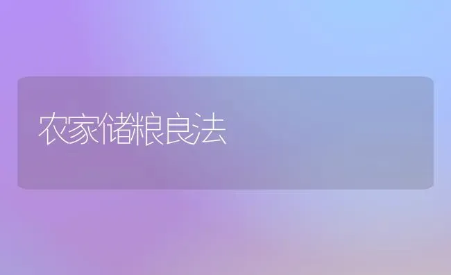 农家储粮良法 | 养殖知识