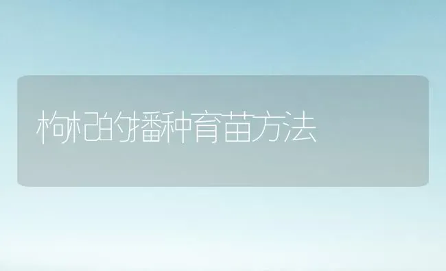 枸杞的播种育苗方法 | 养殖知识