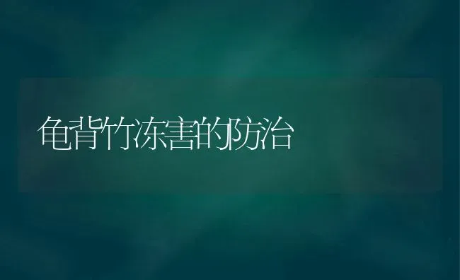 龟背竹冻害的防治 | 养殖知识