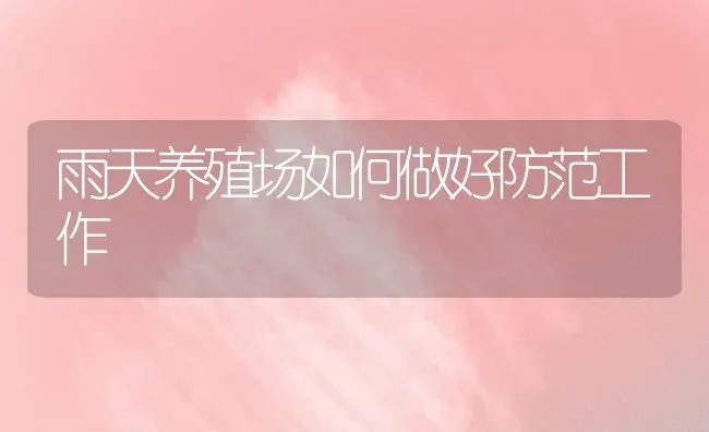 雨天养殖场如何做好防范工作 | 养殖技术大全