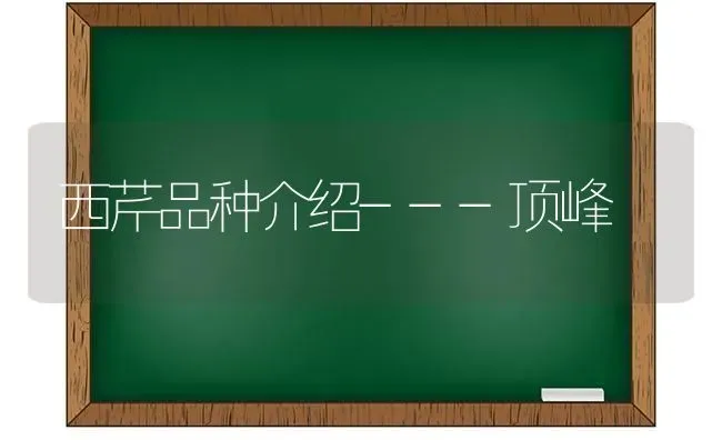 西芹品种介绍---顶峰 | 养殖技术大全