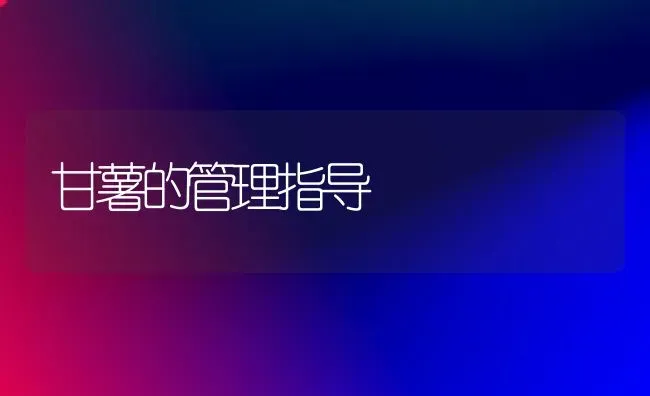 甘薯的管理指导 | 养殖技术大全