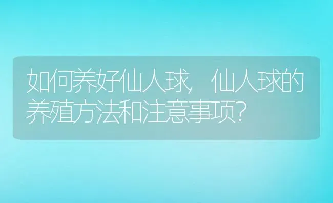 如何养好仙人球,仙人球的养殖方法和注意事项？ | 养殖科普