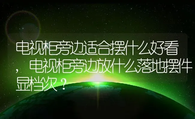 电视柜旁边适合摆什么好看,电视柜旁边放什么落地摆件显档次？ | 养殖学堂