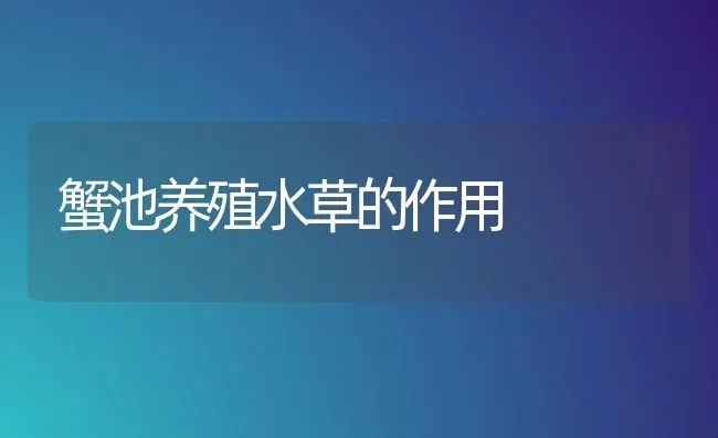 蟹池养殖水草的作用 | 养殖技术大全