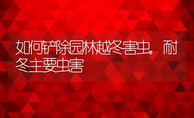 如何铲除园林越冬害虫,耐冬主要虫害 | 养殖学堂