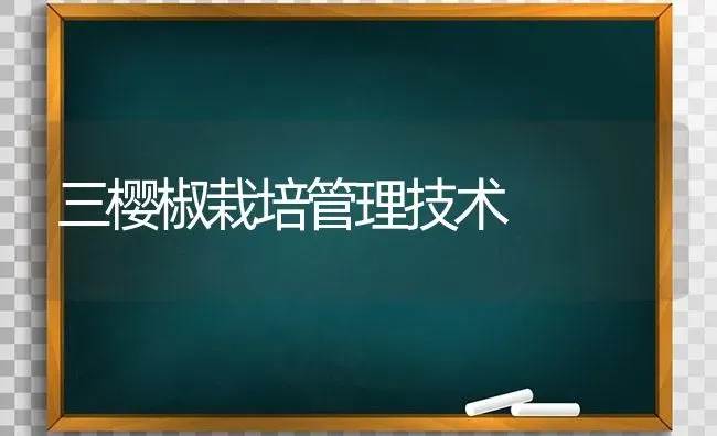 三樱椒栽培管理技术 | 养殖知识