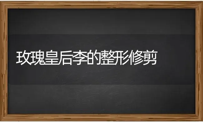 玫瑰皇后李的整形修剪 | 养殖技术大全